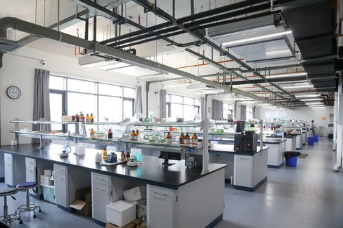 小天使集團(tuán) 以創(chuàng)新科技引領(lǐng)健康與美的未來(lái)