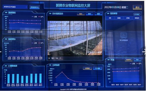數(shù)字技術(shù)如何讓我們的瓜果更美味