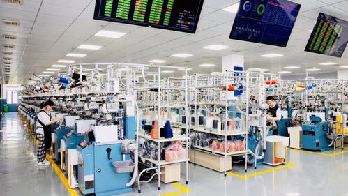 數(shù)字技術(shù)賦能智慧時(shí)尚 浙江諸暨以科技驅(qū)動(dòng)產(chǎn)業(yè)高質(zhì)量發(fā)展，助力構(gòu)建雙循環(huán)新格局